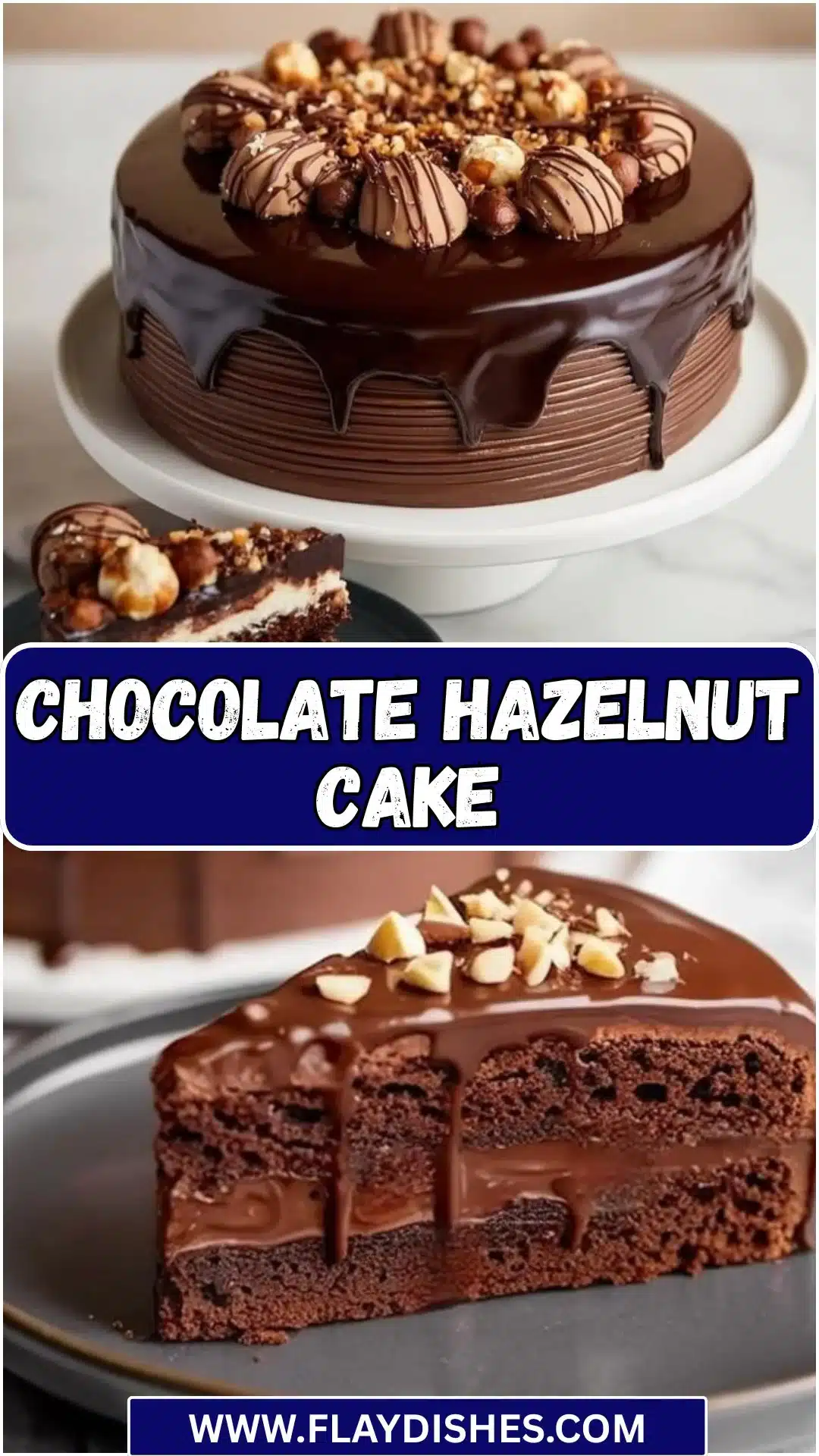 Chocolate Hazelnut Cake 9 Delicious Chocolate Hazelnut Cake topped with chocolate ganache and hazelnuts