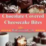 Chocolate Covered Cheesecake Bites 3 chocolate covered cheesecake bites 2025 10 26 084349 150x150 1