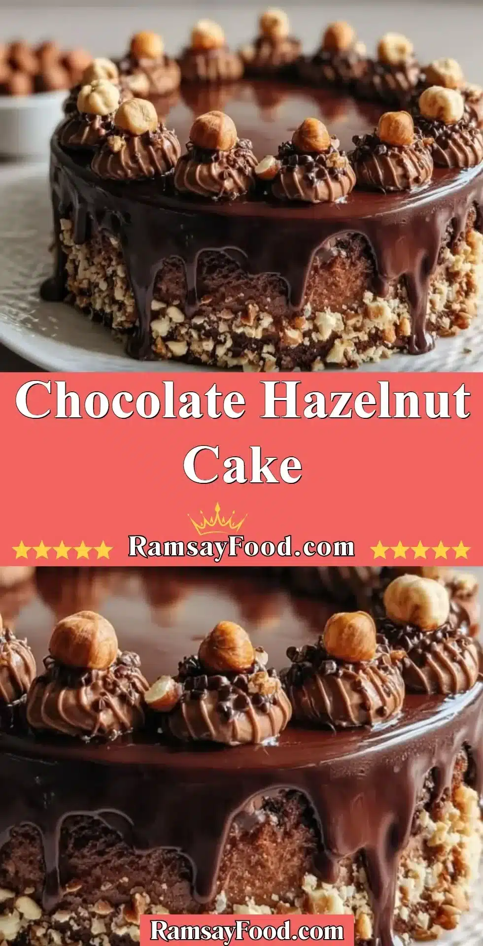 Delicious slice of Chocolate Hazelnut Cake topped with hazelnuts and chocolate ganache