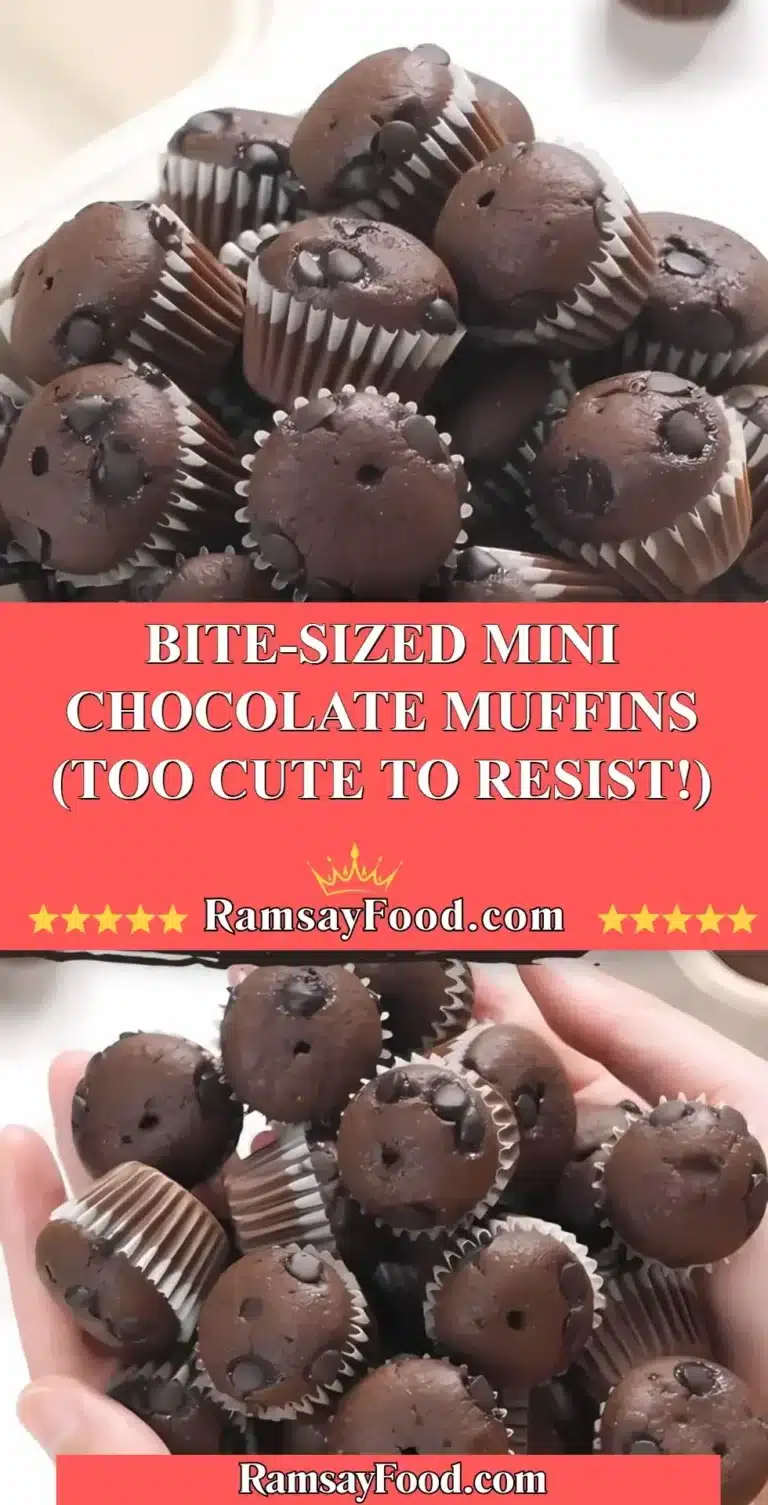 Delicious bite-sized mini chocolate muffins arranged on a plate