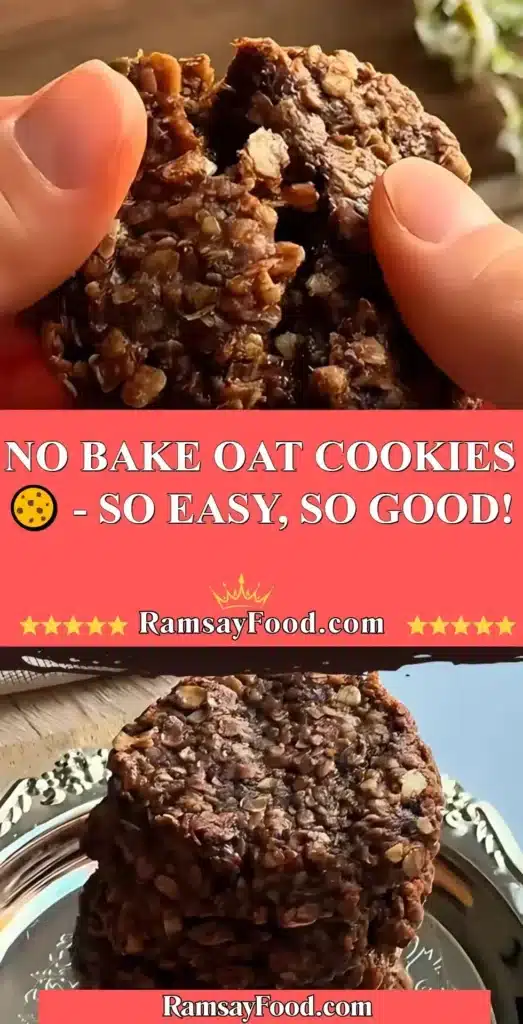 Delicious no bake oat cookies on a plate, ready to enjoy.