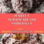 Perfect Newfoundland Snowballs 3 perfect newfoundland snowballs 2025 11 25 172630 150x150 1