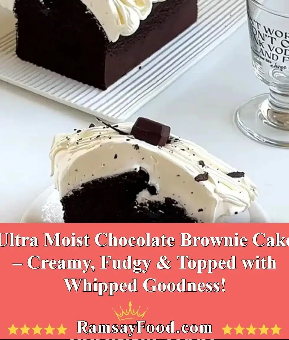 Ultra Moist Chocolate Brownie Cake – Creamy, Fudgy & Topped with Whipped Goodness! 2 Ultra moist chocolate brownie cake topped with creamy whipped goodness