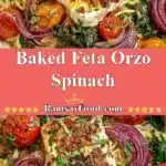Baked Feta Orzo Spinach 3 baked feta orzo spinach 2025 12 16 221355 150x150 1