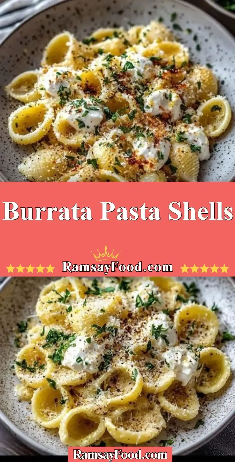 Burrata Pasta Shells 2 Delicious burrata pasta shells garnished with herbs and served in a bowl