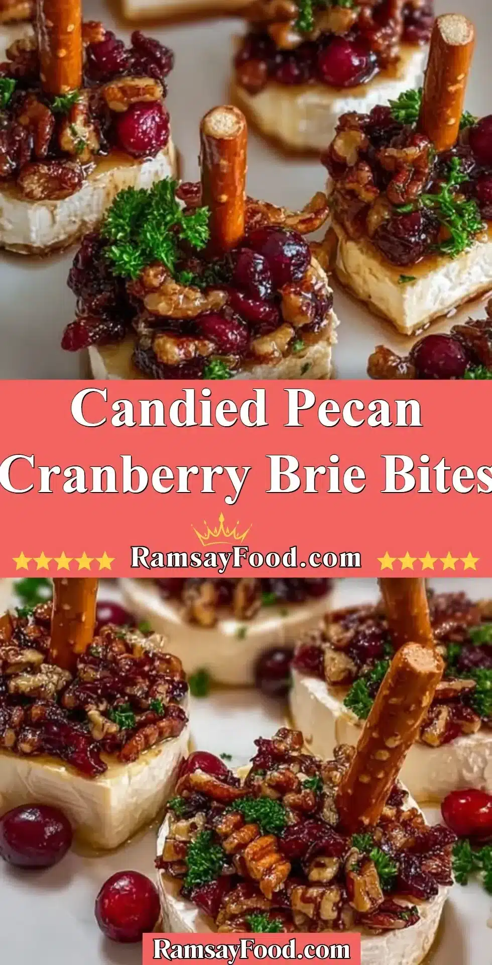 Candied Pecan Cranberry Brie Bites 2 Candied pecan cranberry brie bites appetizer with festive garnish