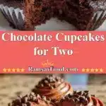 Chocolate Cupcakes for Two 3 chocolate cupcakes for two 2025 12 21 233507 150x150 1