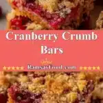 Cranberry Crumb Bars 3 cranberry crumb bars 2025 12 21 224144 150x150 1