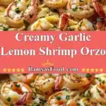 Creamy Garlic Lemon Shrimp Orzo 3 creamy garlic lemon shrimp orzo 2025 12 21 224310 150x150 1