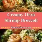 creamy orzo shrimp broccoli 2025 12 21 222353 150x150 1