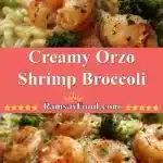 Creamy Orzo Shrimp Broccoli 3 creamy orzo shrimp broccoli 2025 12 21 222446 150x150 1