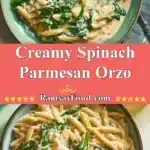 Creamy Spinach Parmesan Orzo 3 creamy spinach parmesan orzo 2025 12 11 223531 150x150 1