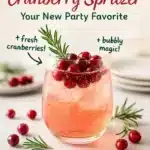 Festive Christmas Cranberry Spritzer: Your New Party Favorite 3 festive christmas cranberry spritzer your new par 2025 12 11 223430 150x150 1