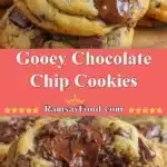 Gooey Chocolate Chip Cookies 3 gooey chocolate chip cookies 2025 12 21 232654 150x150 1