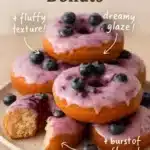 Homemade Blueberry Cake Donuts 3 homemade blueberry cake donuts 2025 12 11 223503 150x150 1