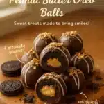 No-Bake Peanut Butter Oreo Balls 3 no bake peanut butter oreo balls 2025 12 11 223508 150x150 1