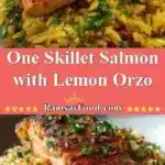 one skillet salmon with lemon orzo 2025 12 21 233516 150x150 1