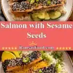 salmon with sesame seeds 2025 12 06 195748 150x150 1