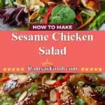Sesame Chicken Salad 3 sesame chicken salad 2025 12 16 221301 150x150 1