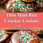 Thin Mint Ritz Cracker Cookies 3 thin mint ritz cracker cookies 2025 12 21 224257 150x150 1