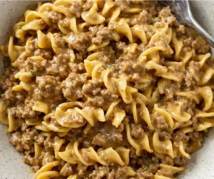 Delicious beef and noodles served in a comforting bowl