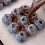 blueberry chocolate yogurt brick 2026 01 11 000551 1