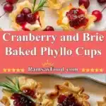 cranberry and brie baked phyllo cups 2025 12 31 235731 523x1024 1