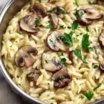 Creamy Orzo with Mushrooms: A Cozy 30-Minute Delight 3 creamy orzo with mushrooms a cozy 30 minute delig 2026 01 13 235851 1