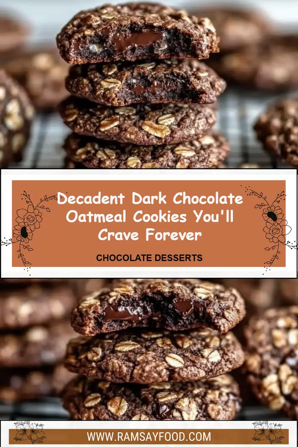Decadent dark chocolate oatmeal cookies on a plate