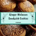 Ginger Molasses Sandwich Cookies 3 ginger molasses sandwich cookies 2026 01 07 005253 683x1024 1