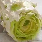 Jasmine Green Grape Mille Crepe Roll – Fresh, Floral & Irresistible 3 jasmine green grape mille crepe roll fresh flor 2026 01 27 013211 1
