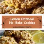 Lemon Oatmeal No-Bake Cookies 3 lemon oatmeal no bake cookies 2026 01 07 005333 683x1024 1