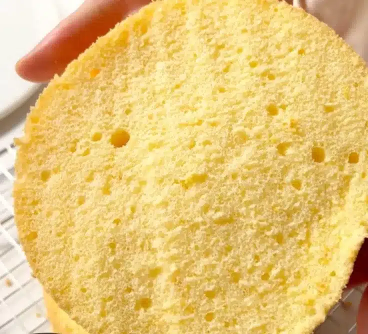 A slice of light cheesecake garnished with berries and whipped cream on a plate.