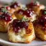 mini cranberry brie bites 2026 01 24 015417 1