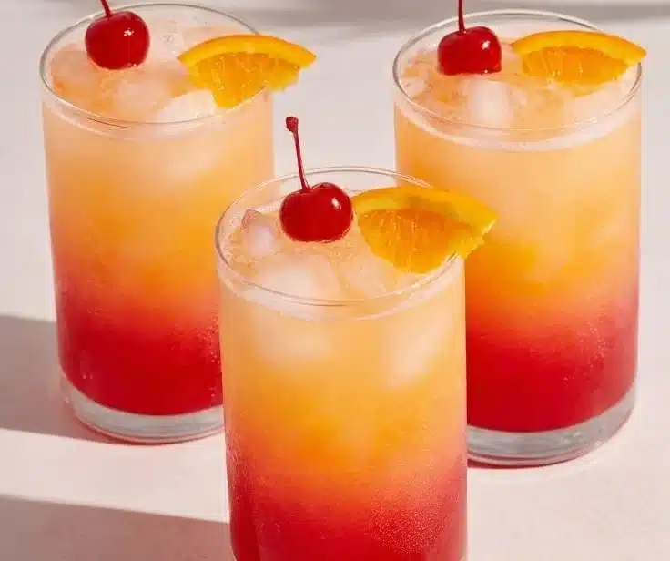 A beautifully layered Tequila Sunrise cocktail garnished with an orange slice.
