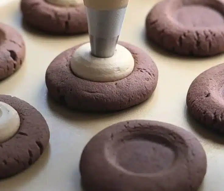 Delicious tiramisu ice cream cheese cookies on a plate