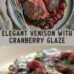 cranberry port glazed venison 2026 03 15 232224 512x1024 1