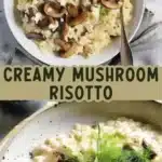 creamy fennel pollen mushroom risotto 2026 03 15 232259 512x1024 1