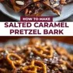 salted caramel pretzel bark 2026 03 15 232118 512x1024 1