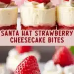 santa hat strawberry cheesecake bites 2026 03 15 232250 512x1024 1