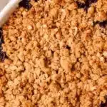 apple blueberry crisp 2026 04 14 002315 1
