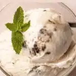 homemade mint chocolate chip ice cream 2026 04 14 002317 1