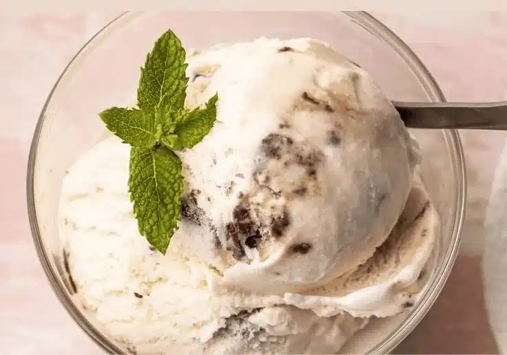 Freshly made homemade mint chocolate chip ice cream in a bowl