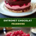 chocolate raspberry layered dessert 2026 05 03 201701 1