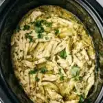 crockpot salsa verde chicken 2026 05 03 205512 1