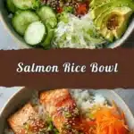 easy salmon rice bowl 2026 05 03 201711 1