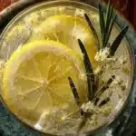 Elderflower Winter Gin Cocktail 3 elderflower winter gin cocktail 2026 05 03 205540 1