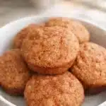 moist apple muffins for babies 2026 05 03 205512 1