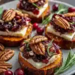 Sweet Potato Rounds with Brie, Cranberry, and Pecans 3 sweet potato rounds with brie cranberry and peca 2026 05 03 205543 1